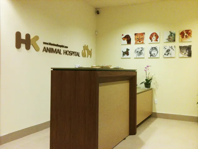 HK Animal Hospital Picture 7