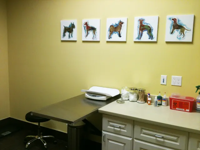 HK Animal Hospital Picture 9