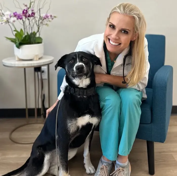 Diablo Valley Animal Hospital Picture 3