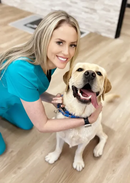 Diablo Valley Animal Hospital Picture 4