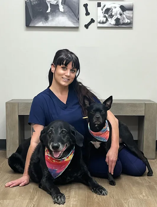 Diablo Valley Animal Hospital Picture 5
