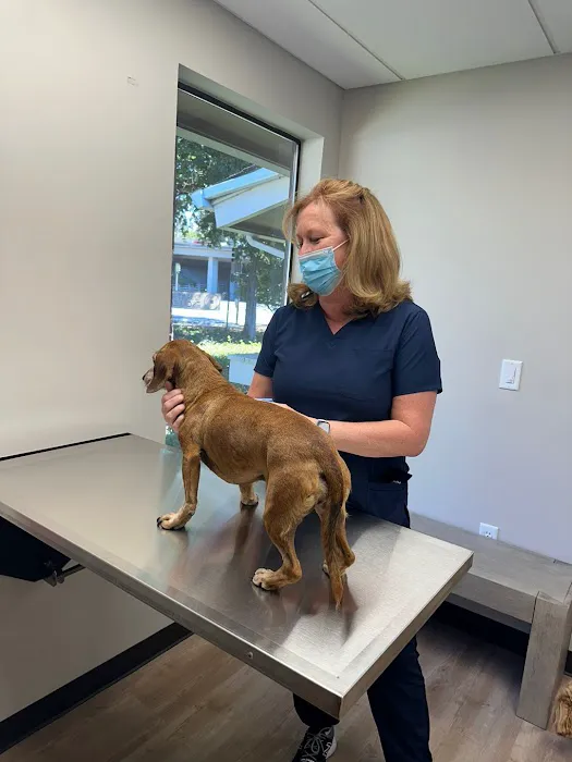 Diablo Valley Animal Hospital Picture 10