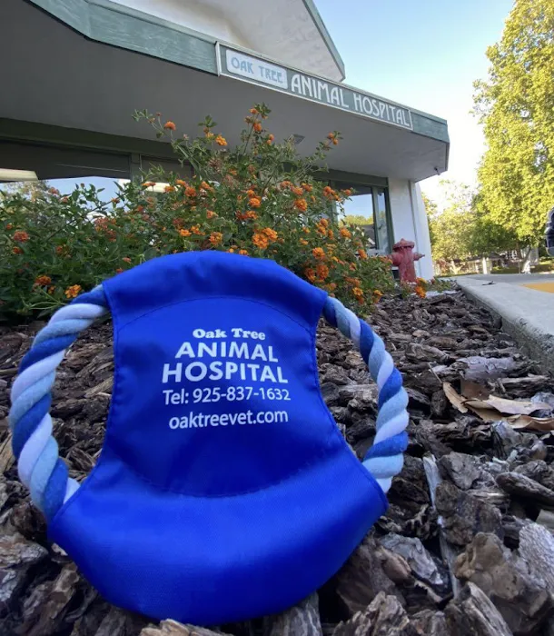 Oak Tree Animal Hospital Picture 3