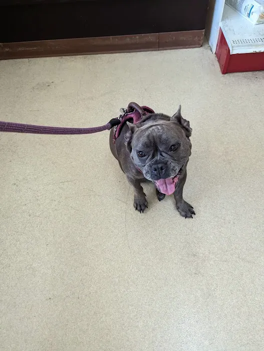 Oak Tree Animal Hospital Picture 6
