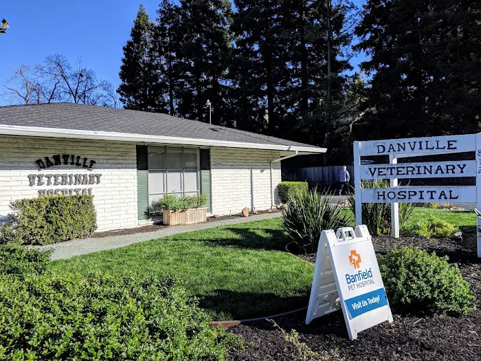 Banfield Pet Hospital Picture 4
