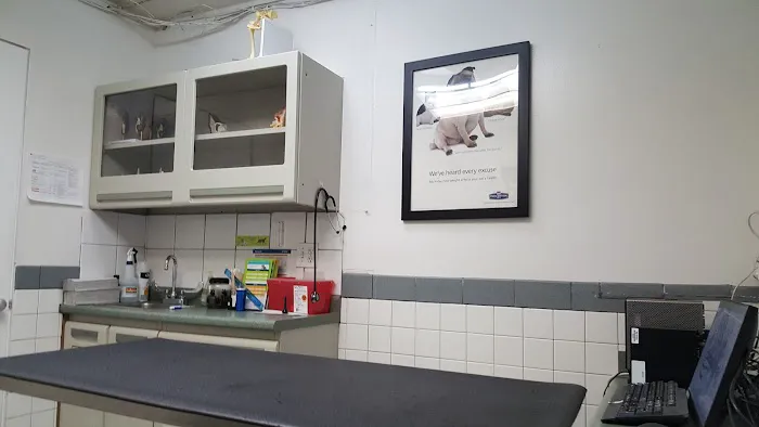 Banfield Pet Hospital Picture 5