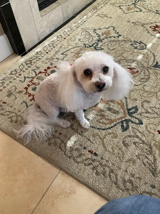 Well Pet Vet Clinic Picture 1