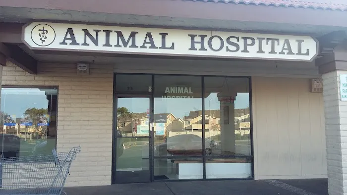 Walkin Vets / Animal Hospital of Pittsburg Picture 1