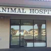 Walkin Vets / Animal Hospital of Pittsburg ico