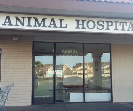 Walkin Vets / Animal Hospital of Pittsburg