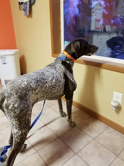 Mac's Landing Veterinary Services Picture 2