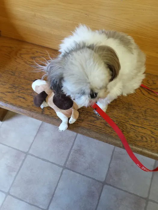 Mac's Landing Veterinary Services Picture 1