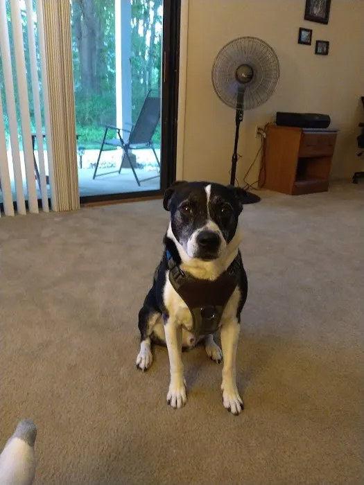 Mac's Landing Veterinary Services Picture 10