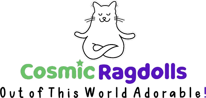 Cosmic Ragdolls Picture 7