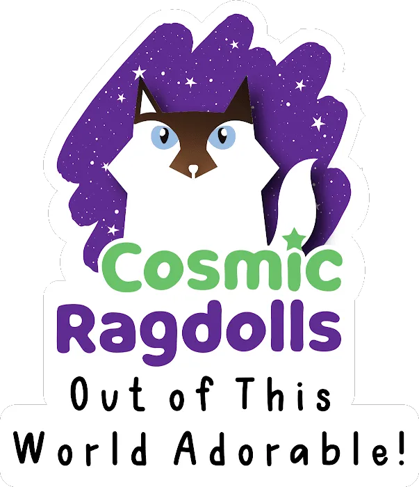 Cosmic Ragdolls Picture 8