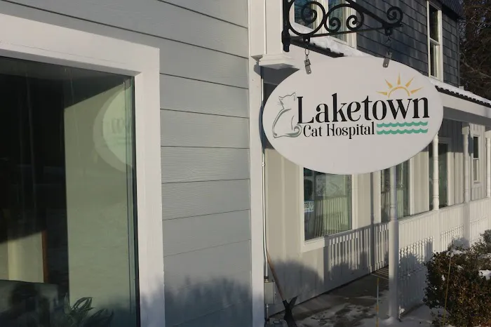 Laketown Cat Hospital Picture 2