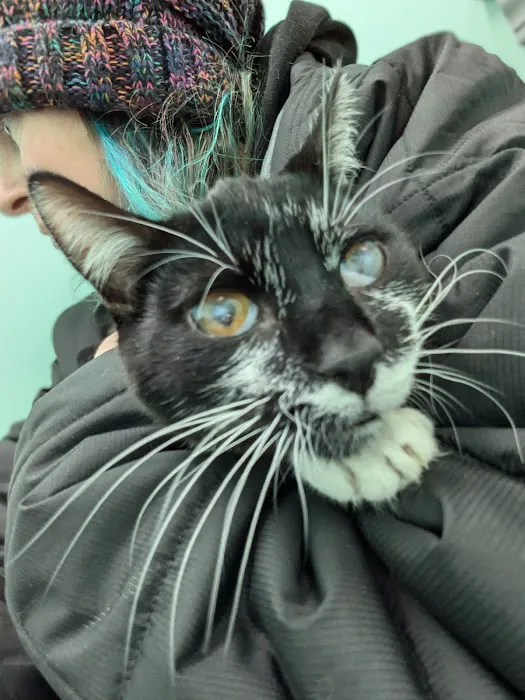 Laketown Cat Hospital Picture 5