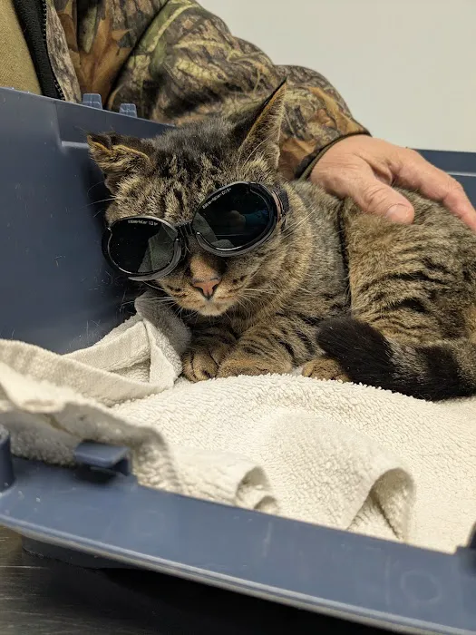 Allegan Animal Clinic Picture 1