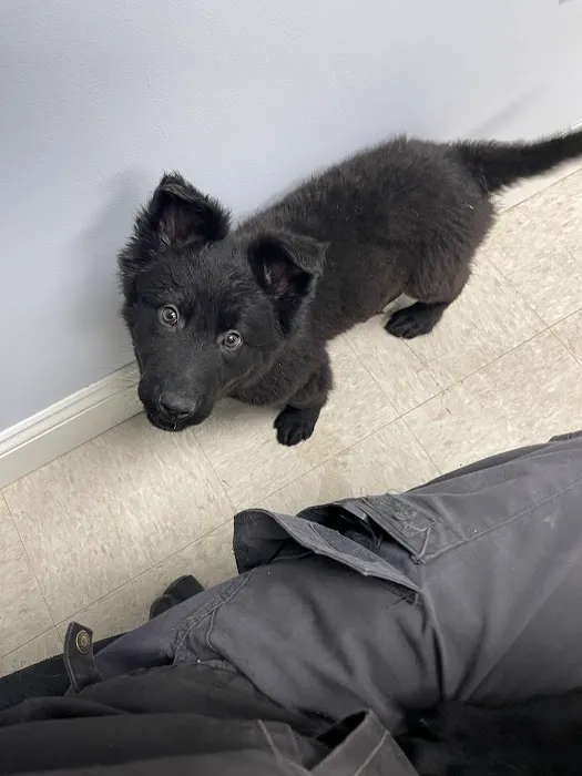 Allegan Animal Clinic Picture 8
