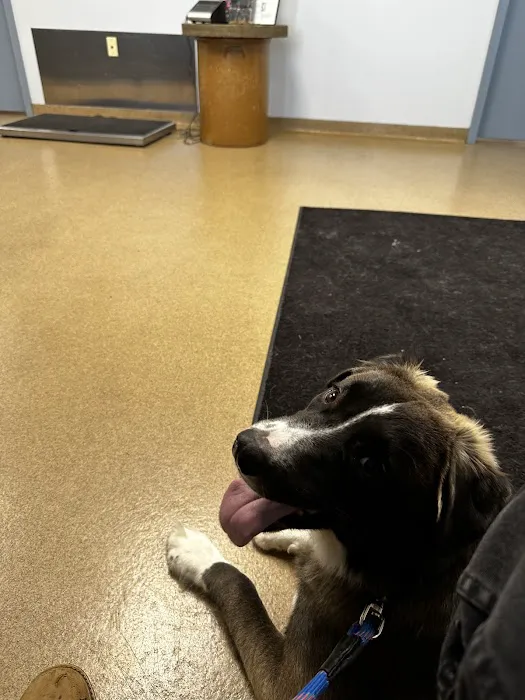 Allegan Animal Clinic Picture 10
