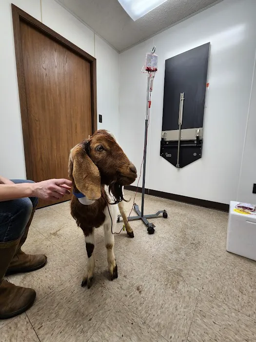 Prairie Creek Veterinary Services Picture 4