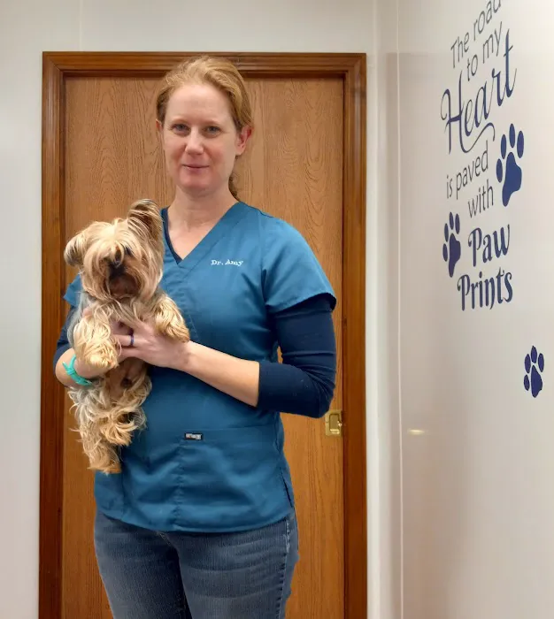 Prairie Creek Veterinary Services Picture 8