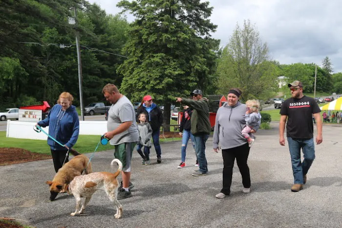 Town And Country Animal Clinic Picture 4