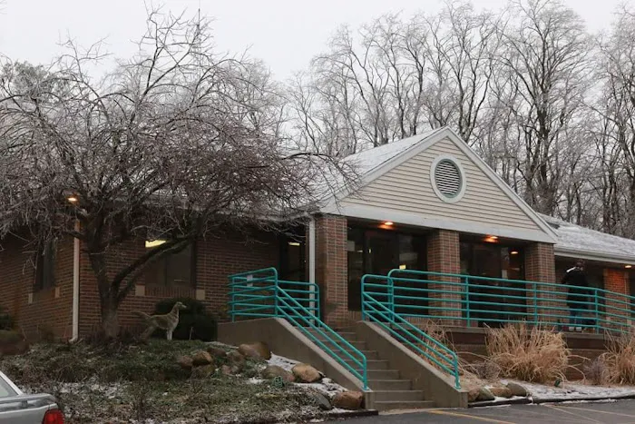Town And Country Animal Clinic Picture 3