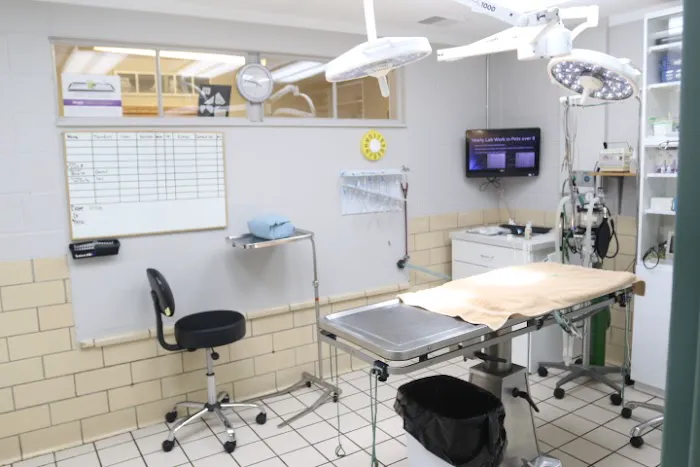 Town And Country Animal Clinic Picture 7