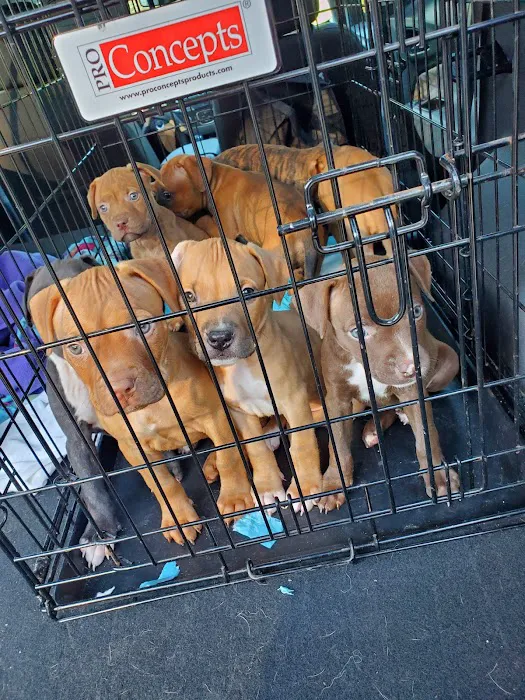 Town And Country Animal Clinic Picture 6