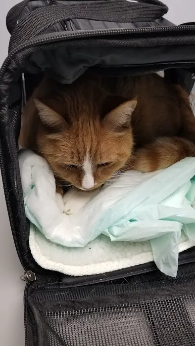 Town And Country Animal Clinic Picture 5