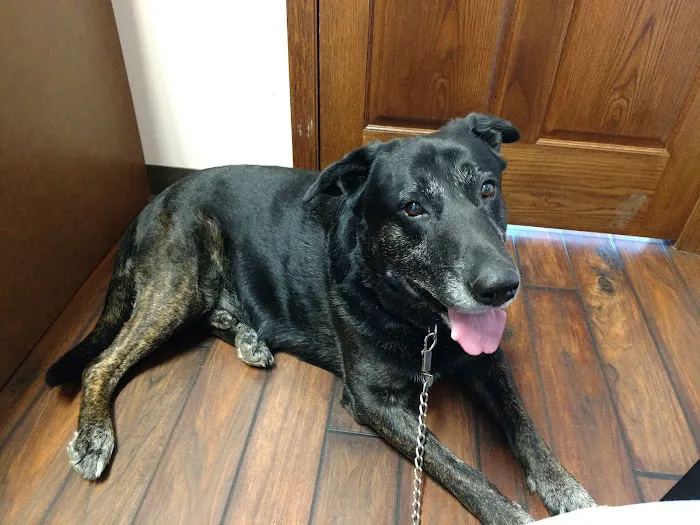 Sheridan Animal Hospital, Inc. Picture 4