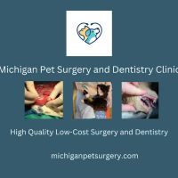 Michigan Pet Surgery & Dentistry Clinic ico