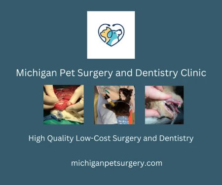 Michigan Pet Surgery & Dentistry Clinic