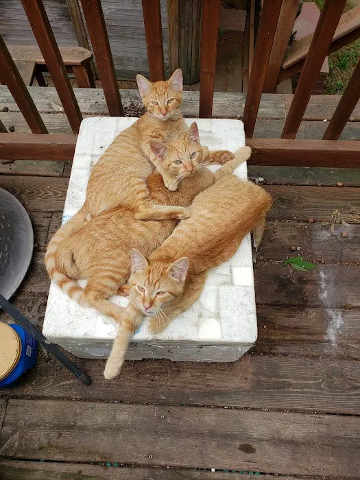 Spay Neuter Express - Greenville Office Picture 8