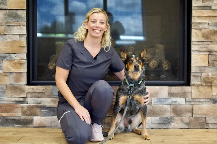 Greenville Animal Hospital Picture 3
