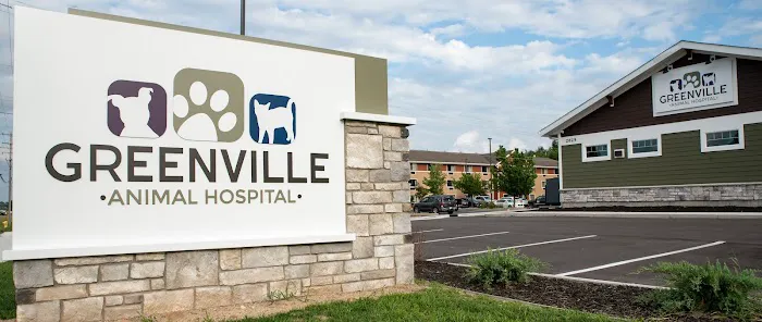 Greenville Animal Hospital Picture 4