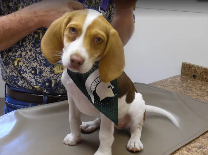 Greenville Animal Hospital Picture 8