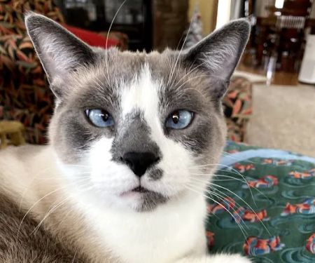 Ovid-Elsie Animal Clinic