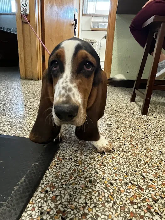 Ovid-Elsie Animal Clinic Picture 6