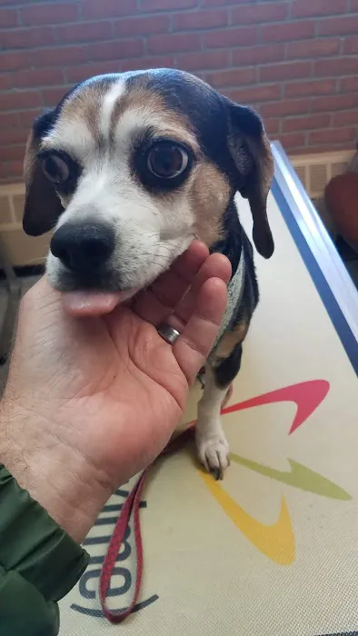 Ovid-Elsie Animal Clinic Picture 9