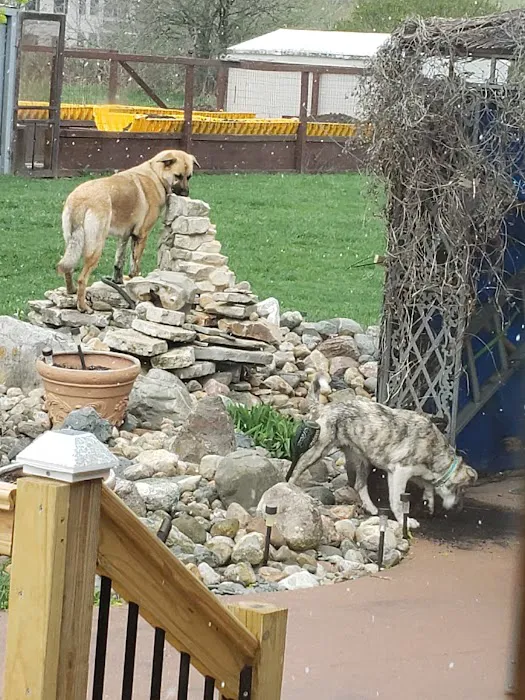 Clay-Mar Veterinary Clinic Picture 8