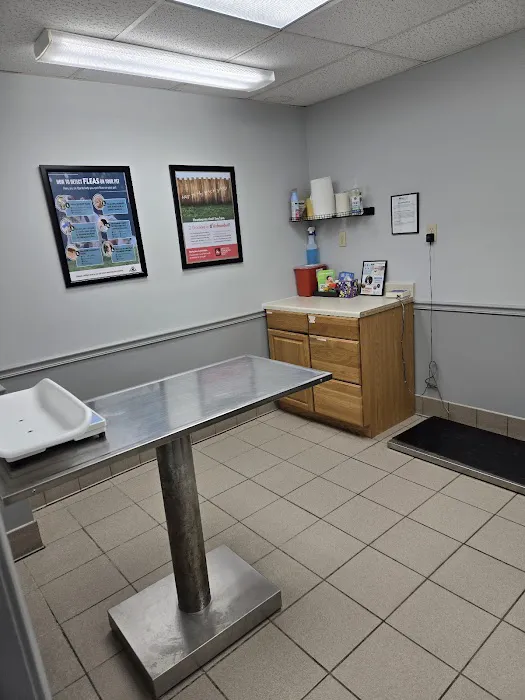 Ithaca Animal Hospital Picture 1