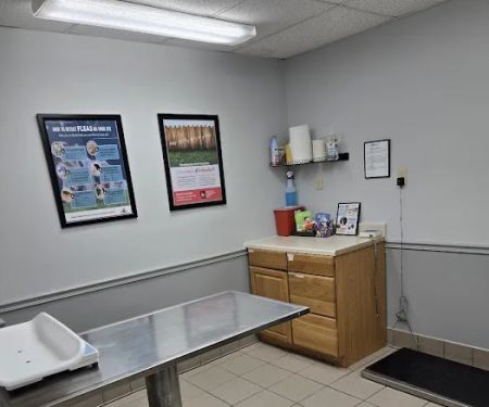 Ithaca Animal Hospital