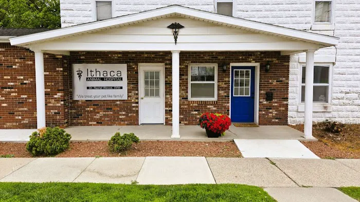 Ithaca Animal Hospital Picture 3