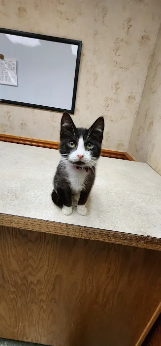 Ithaca Animal Hospital Picture 7