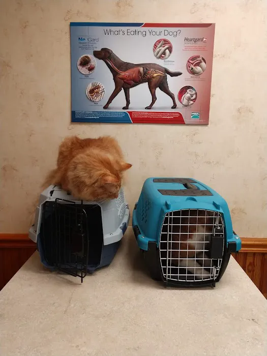 Ithaca Animal Hospital Picture 8