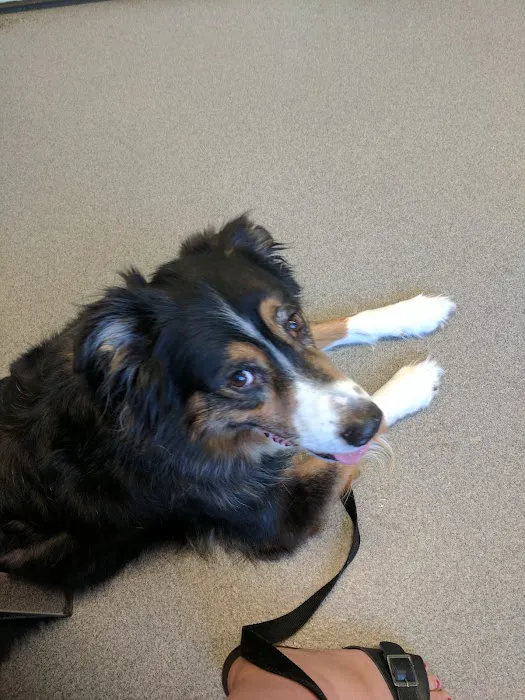 State Road Animal Hospital Picture 8