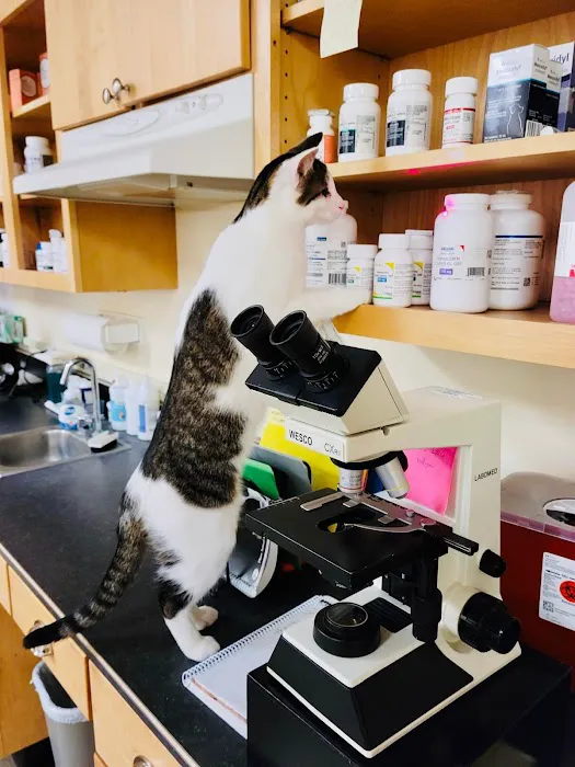 State Road Animal Hospital Picture 10