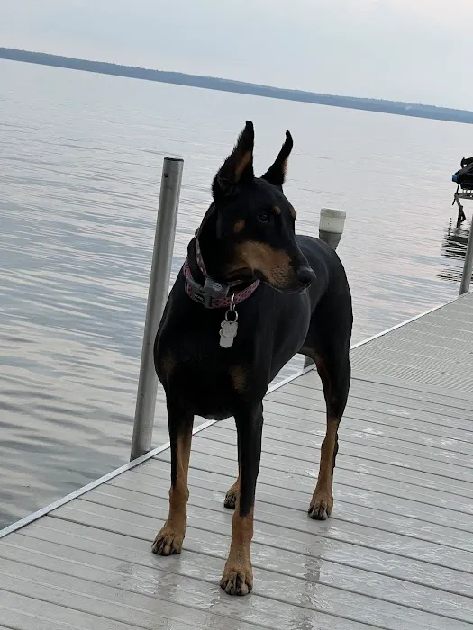 Mid Michigan Animal Clinic Picture 7